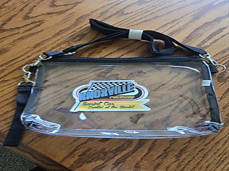 Classic Clear Stadium Purse/Handbag